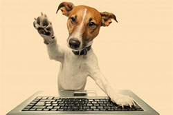 Consultorio online